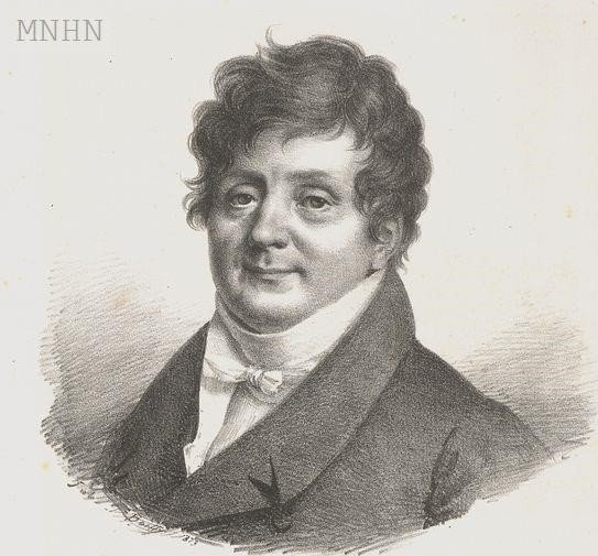fourier_mnhn