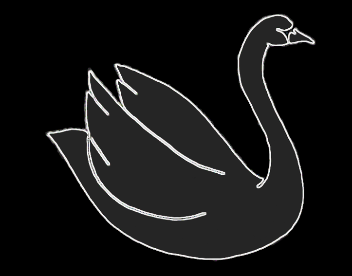 black_swan_flora_aubree